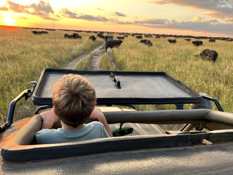 Big 5 Safari