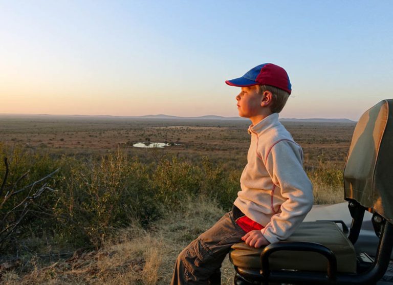 Bush and beach safaris
