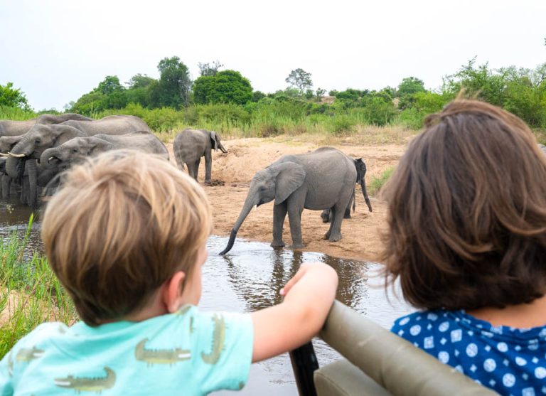 Malaria Safaris
